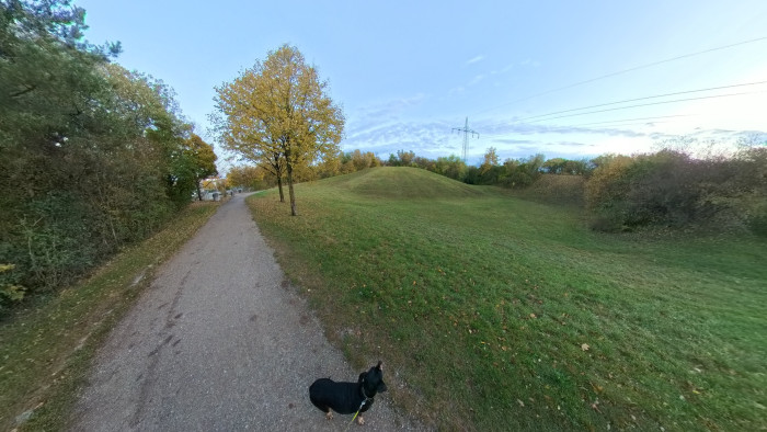 Foto-Aufnahme mit der X4 Air (Bild: Steinlechner / Golem)